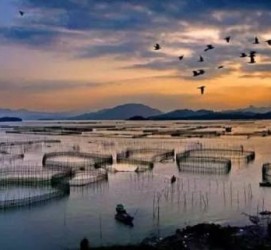 广安伴游中国网景点丰富(旅游网介绍)