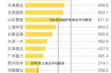 广安关于伴游小丽中国足球的信息