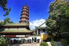 广安广州自由行(广州 自由行)