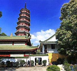 广安广州自由行(广州 自由行)