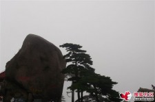 广安上海伴游私家陪游雇用女模(上海伴游私家陪游雇用女模特)