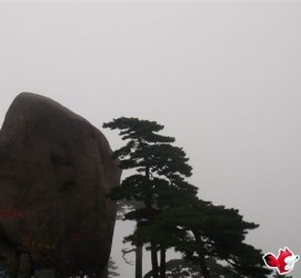 广安上海伴游私家陪游雇用女模(上海伴游私家陪游雇用女模特)