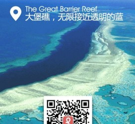 广安中国250家旅行社结伴游新西兰(新西兰当地旅行社)