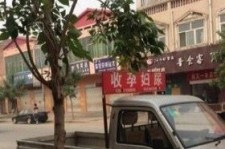 广安上海伴游 用伴游造句大全(5