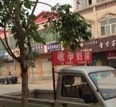 广安上海伴游 用伴游造句大全(5