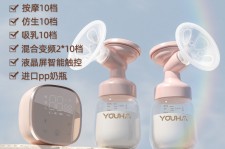 广安奶模(奶模型)