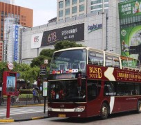 广安上海私人伴游 上海过年怎么玩？这些“微游”线路了解下→