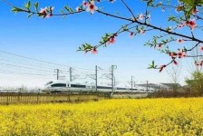 广安高铁游(高铁游戏下载手机版)