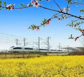 广安高铁游(高铁游戏下载手机版)