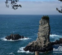 广安旅游全攻略(上海旅游全攻略)