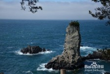 广安旅游全攻略(上海旅游全攻略)
