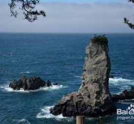 广安旅游全攻略(上海旅游全攻略)