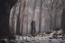 广安上海私人伴游 上海伴游，上海兼职伴游安全吗
