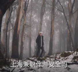 广安上海私人伴游 上海伴游，上海兼职伴游安全吗