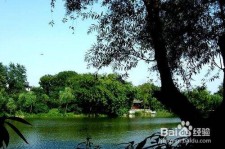 广安西湖旅游攻略(上海到杭州西湖旅游攻略)
