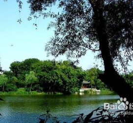 广安西湖旅游攻略(上海到杭州西湖旅游攻略)