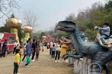 广安中国伴游带你打卡网红南山竹海(南山竹海网上预约)