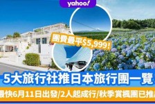 广安旅游价格(旅游价格机制)
