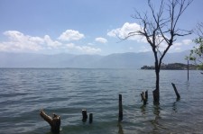 广安洱海旅游攻略(洱海旅游攻略自由行)