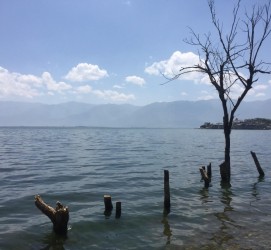 广安洱海旅游攻略(洱海旅游攻略自由行)
