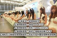 广安雇用旅游男伴游(北京商务酒店雇用伴游)