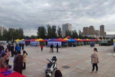 广安通辽伴游雇用(哈尔滨伴游雇用)