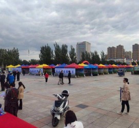 广安通辽伴游雇用(哈尔滨伴游雇用)