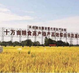 广安关于成都商务伴游外围雇用的信息