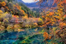 广安四川旅游攻略(四川旅游攻略十五日游)