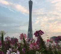 广安广州旅游攻略(杭州到广州旅游攻略)