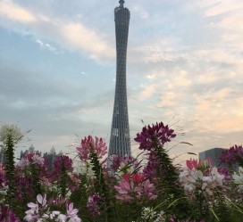 广安广州旅游攻略(杭州到广州旅游攻略)