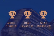 广安上海私人伴游 ​ “小而美”的新时代：2020年国内新跟团消费报告