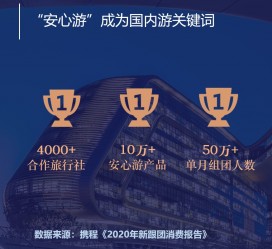 广安上海私人伴游 ​ “小而美”的新时代：2020年国内新跟团消费报告