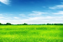 广安上海伴游 上海模特伴游微信号的交友宣言
