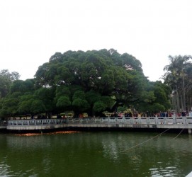 广安福州旅游攻略(福州旅游攻略二日游)