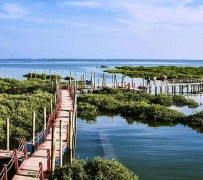广安旅游哪里好玩(云南旅游哪里好玩)