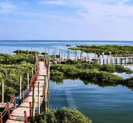 广安旅游哪里好玩(云南旅游哪里好玩)