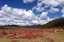 广安旅游去处(暑期最好的旅游去处)