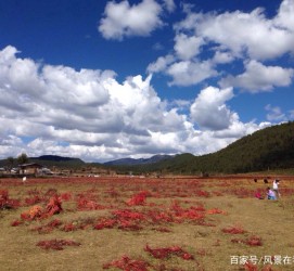 广安旅游去处(暑期最好的旅游去处)