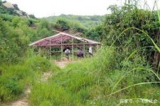 广安青岛大学生兼职伴游(即墨兼职卖的女那种群)